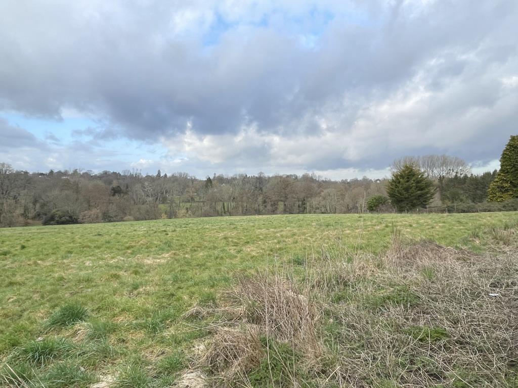 Lot: 50 - PASTURE AND WOODLAND EXTENDING TO 7.6 ACRES - pasture land at Hawkhurst